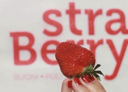 Ecco le carte della vergogna chic. Le fragole schiave di StraBerry