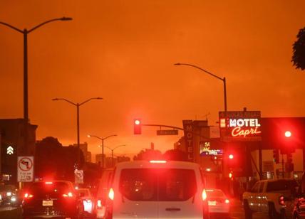Usa dramma incendi, brucia la costa ovest: oltre 30 morti