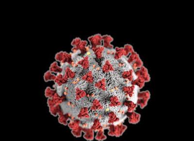 libro nero coronavirus