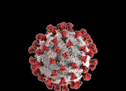Virus, ora spunta un altro atto. Il mistero del "Piano Urbani"