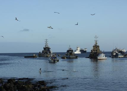 Galapagos, armata di navi cinesi non se ne va. Ecuador in allarme