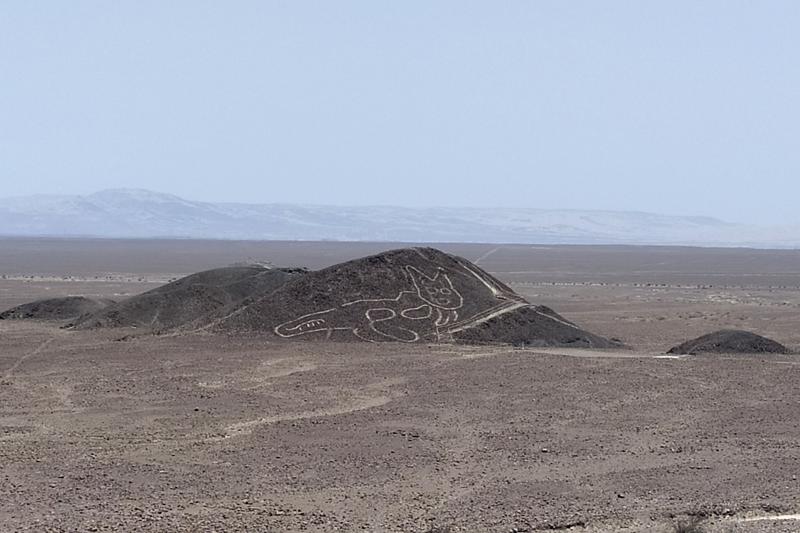 Perù linee di Nazca gatto