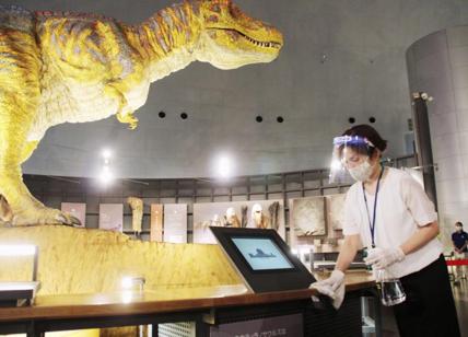 Musei aperti in Giappone e chiusi in Italia: l’efficacia del modello orientale