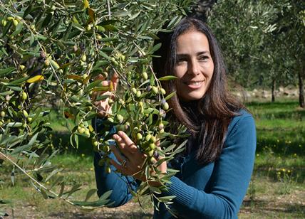In Puglia un profumo di olive appena frante inonda campi e borghi fino al mare