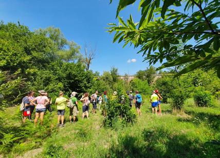 A Lapio con lo storico Irpinia express per il trekking tra le terre del Fiano