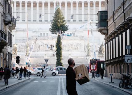 Spelacchio, scandalo di Natale che riabilita Ignazio Marino e Gianni Alemanno