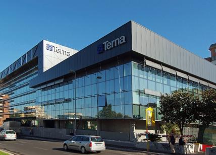 Terna