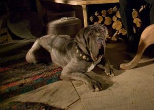 thor 2