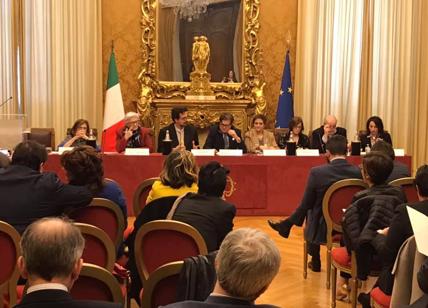 Il Viceministro alla Salute Pierpaolo Sileri con il giornalista Lorenzo Zacchetti, durante un convegno presso il Senato della Repubblica 