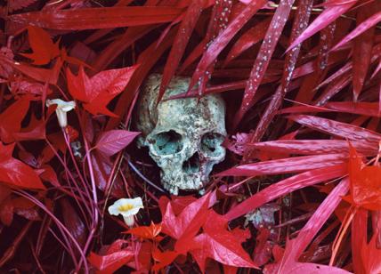 Richard Mosse: fotografo di migrazioni, conflitti e cambiamento climatico Richard Mosse: fotografo di migrazioni, conflitti e cambiamento climatico