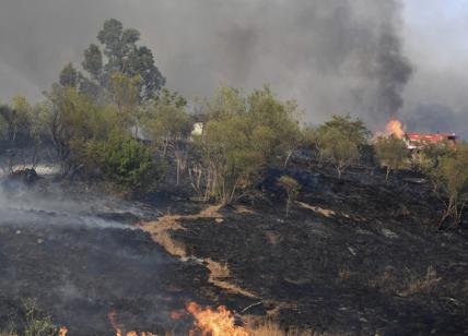 Incendi dalla Sicilia alla Calabria: Sud brucia. Uomo ucciso dal fuoco in casa