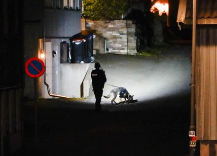 Attacco Norvegia, le ombre del modello scandinavo: da Breivik all'islamismo