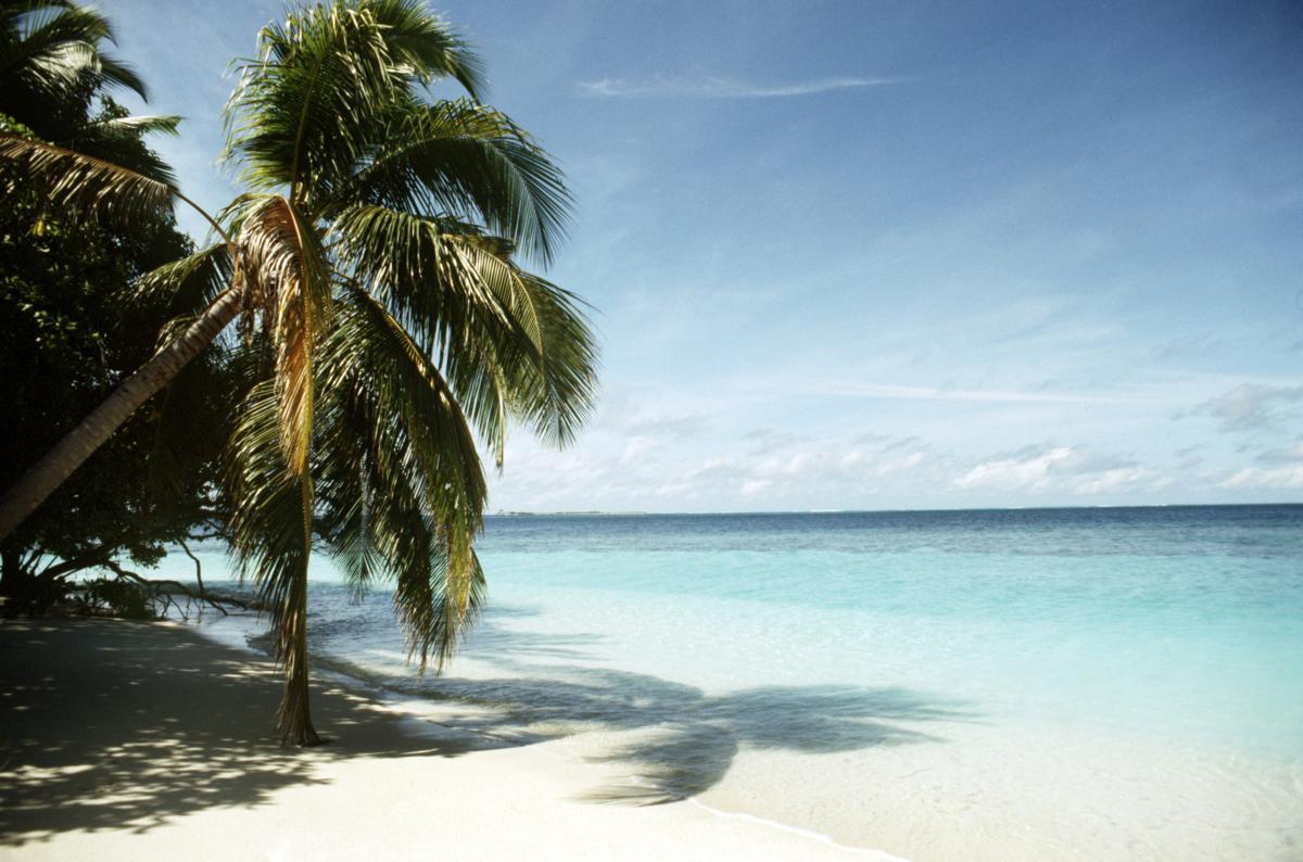 Maldive Lapresse Maldive Lapresse