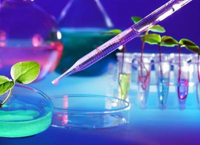 biotecnologia e gmo piante provette 89717464