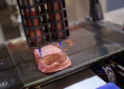 Biostampa, nasce la "carne 3D" creata attraverso mix vegetali