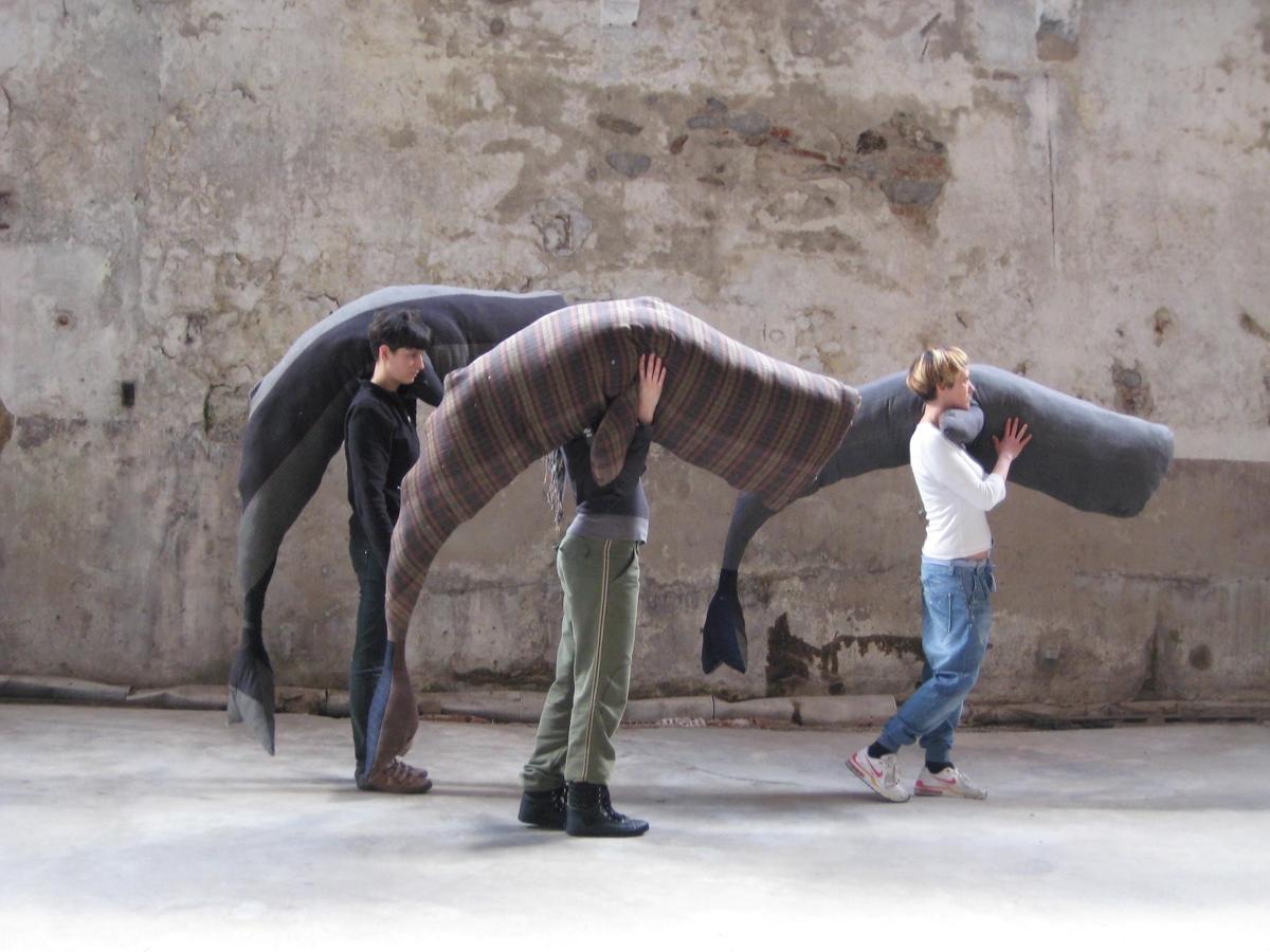 Claudia Losi, Les Funérailles de la Baleine, Fondo Bruno, Cossila San Giovanni (Biella), 2010