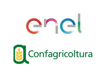 Enel-Confagricoltura, insieme per la competitività del settore agricolo