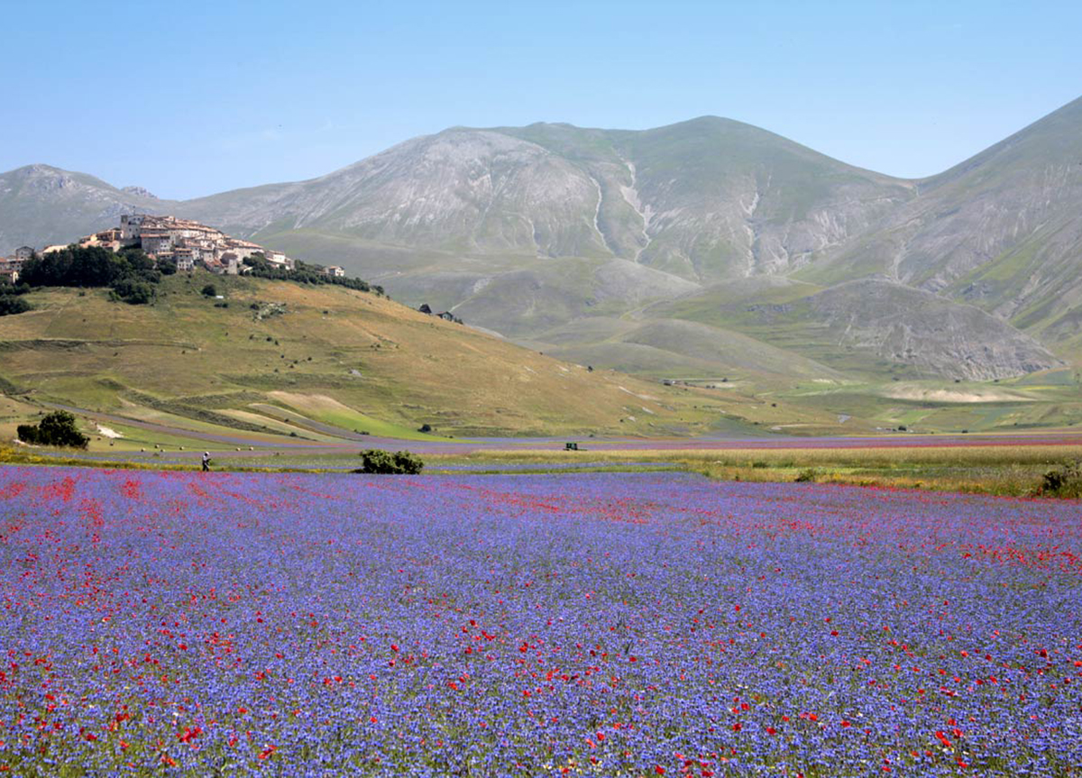 Fonte sito Castelluccio di Norcia Fonte sito Castelluccio di Norcia