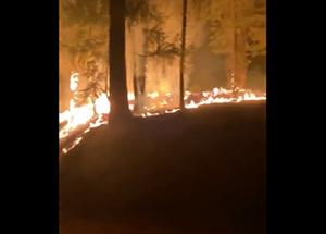 Incendi in California, distrutti oltre 200 acri di foreste