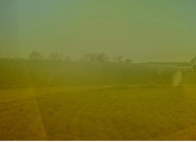 future farming