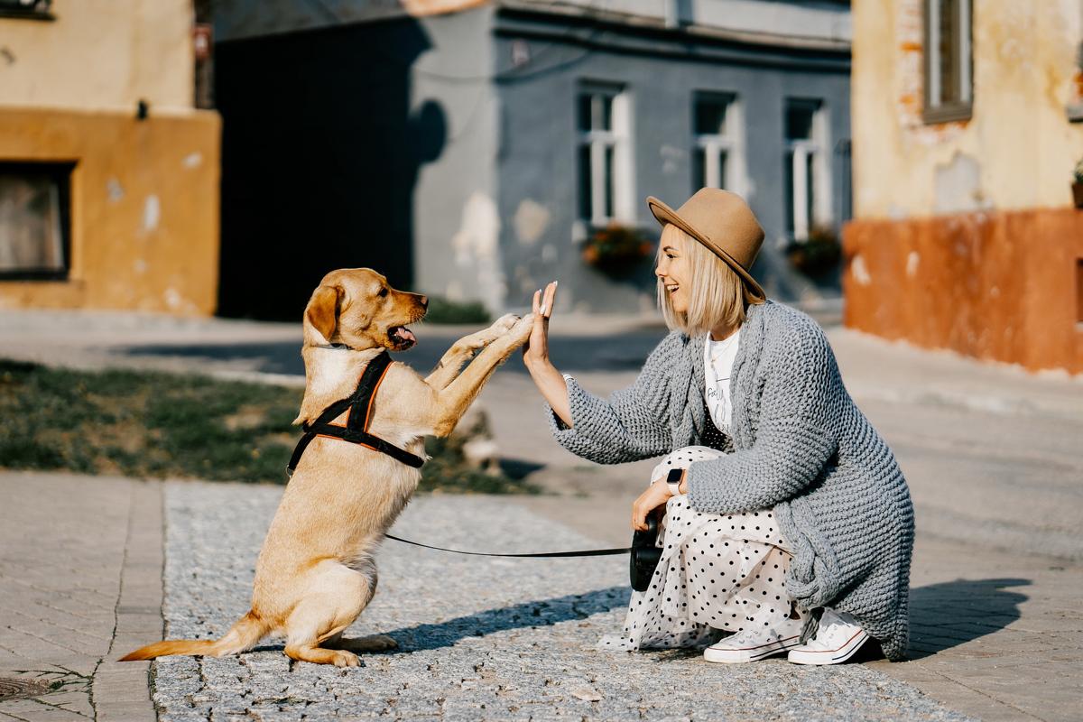 donna ragazza cane