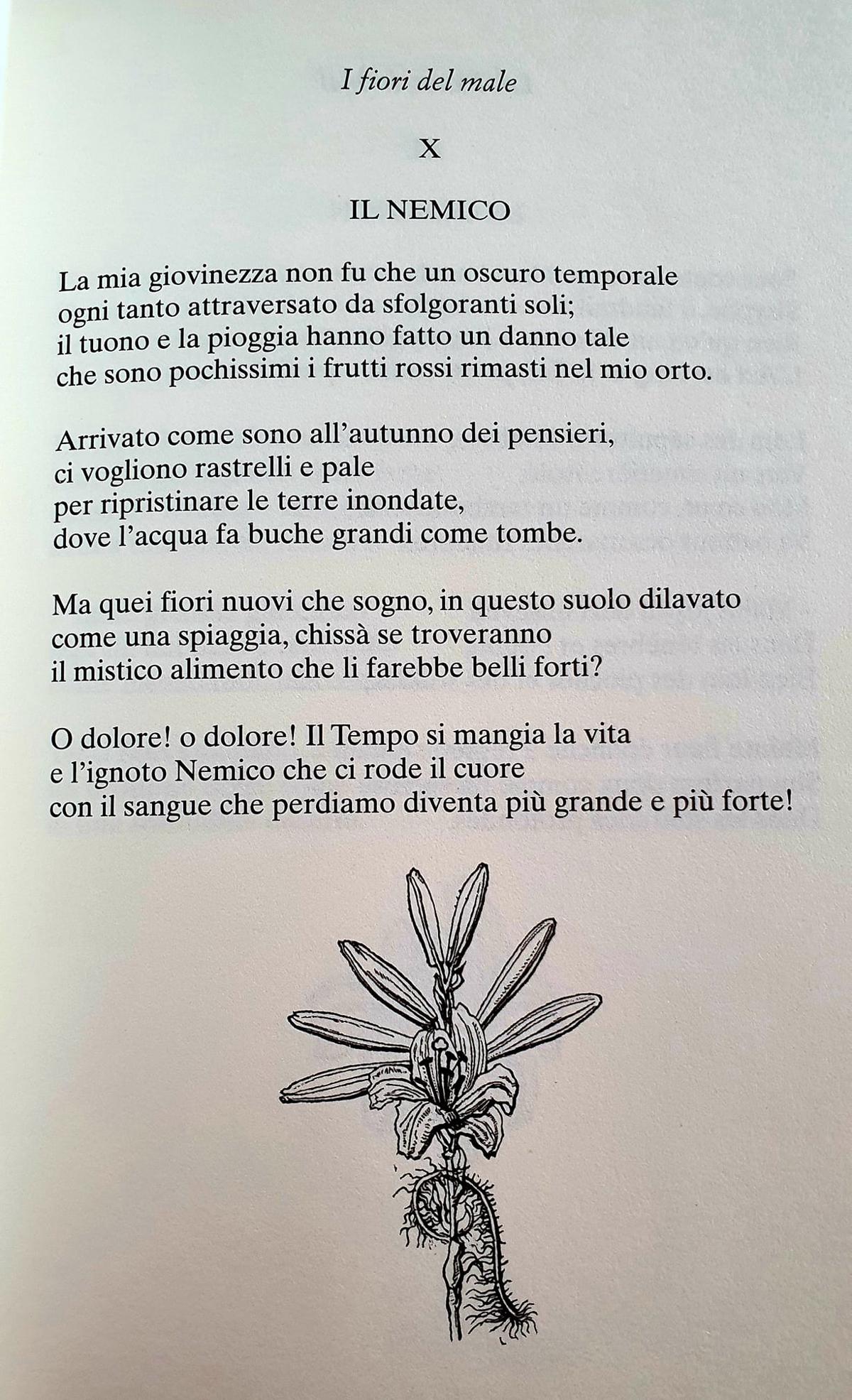 Charles Baudelaire, il poeta che trovò la bellezza nel male 