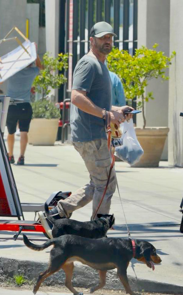 Los Angeles, Gerard Butler e Morgan Brown si baciano tra le bancarelle del mercato