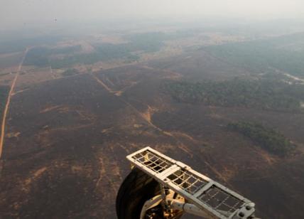 Amazzonia polmone del mondo ha smesso di respirare: non assorbe più Co2