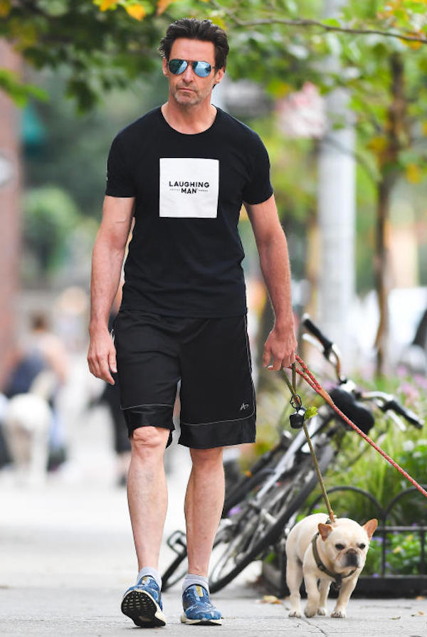 New York , Hugh Jackman posta spasso i suoi  cani Dali ed Allegra