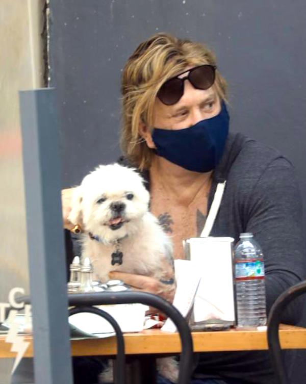 Beverly Hills,Mickey Rourke a pranzo con il suo inseparabile cagnolino 