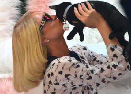 Los Angeles,Paris Hilton coccola dei gattini durante uno shooting fotografico
