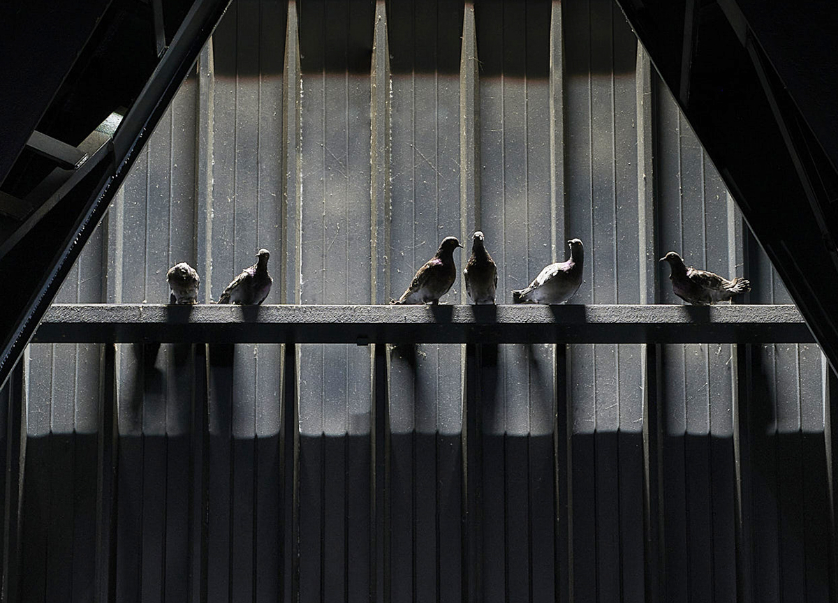 Maurizio Cattelan, Ghosts, 2021. Courtesy Pirelli HangarBicocca Maurizio Cattelan, Ghosts, 2021. Courtesy Pirelli HangarBicocca