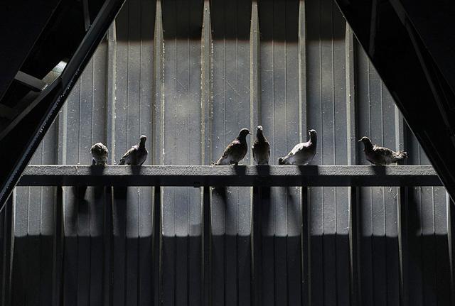 Maurizio Cattelan, Blind, 2021. Courtesy Pirelli HangarBicocca 2