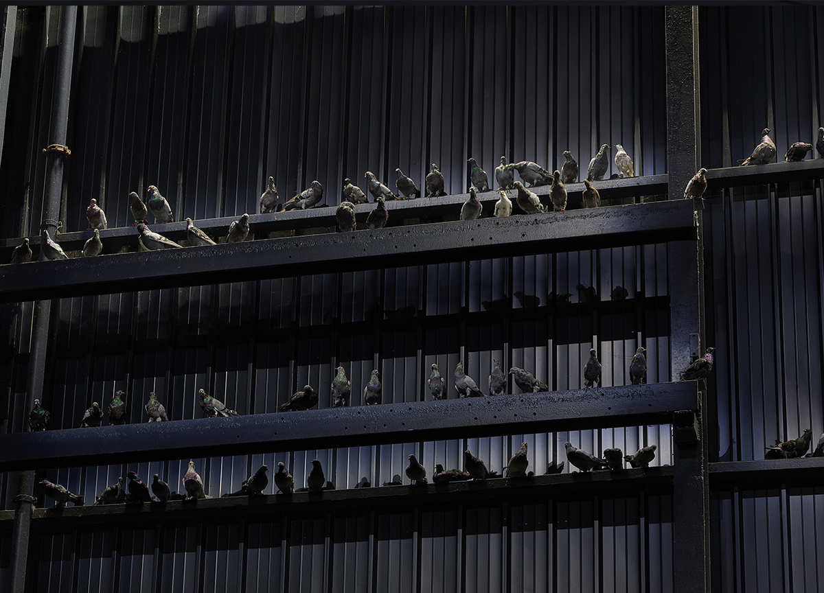 Maurizio Cattelan, Ghosts, 2021. Courtesy Pirelli HangarBicocca Maurizio Cattelan, Ghosts, 2021. Courtesy Pirelli HangarBicocca