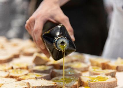 Coldiretti Puglia, olio taroccato Made in Italy: 263 truffe online