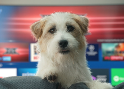 Sky Q Famiglia Dog