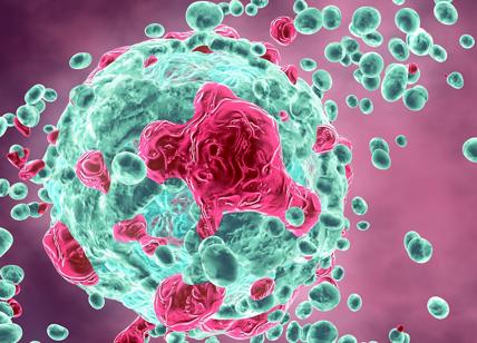 Cancro ovarico: verso farmaci più efficaci con organoidi monoclonali