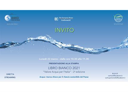 Ambrosetti presenta lunedì il Libro Bianco sul valore acqua per l'Italia
