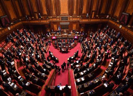 Governo, nasce l'intergruppo parlamentare M5S-Pd-Leu