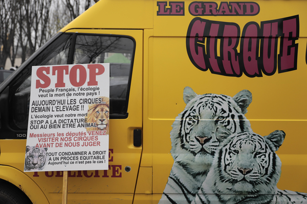 (fonte Lapresse)