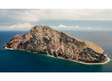 Isola di Redonda, miracolo naturale: in 4 anni da deserto a paradiso ecologico
