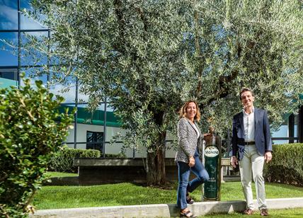 Monini è leader della sostenibilità in Italia, unica nel settore olivicolo