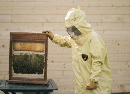 Lamborghini al lavoro con le api per il biomonitoraggio ambientale