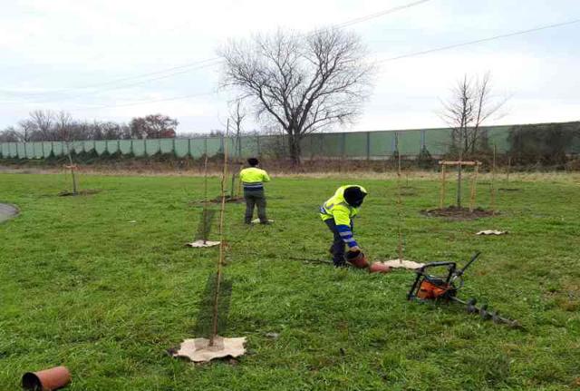 Arbolia (Snam e CDP): al via la realizzazione dei primi due boschi urbani a Parma