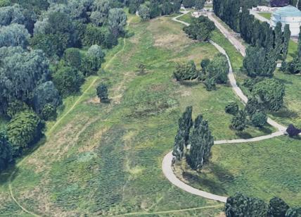 Arbolia, intesa con RINA per un nuovo bosco urbano da 2.100 alberi a Torino
