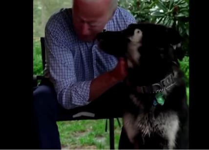 Biden porta alla Casa Bianca Major: primo cane adottato da un presidente.VIDEO