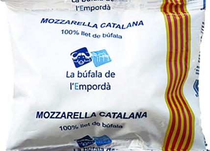 Falsa mozzarella di bufala catalana, denunciato un caseificio spagnolo