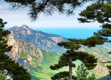 Corsica, il mondo in un'isola: una varietà di colori tra profumi e sapori