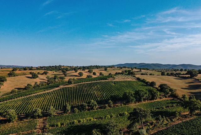 DJI 0193  MAREMMA TERRITORIO