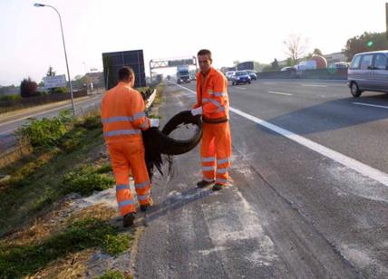 Piacenza, scontro tra un tir e un furgone: 5 morti